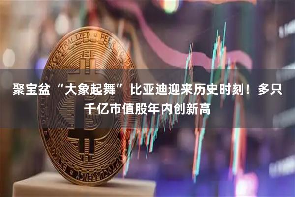 聚宝盆 “大象起舞” 比亚迪迎来历史时刻！多只千亿市值股年内创新高